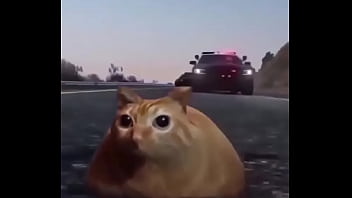 Branco escapando de quatro rapazes negros