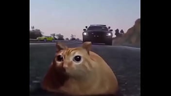 Branco escapando de quatro rapazes negros Branco escapando de quatro rapazes negros