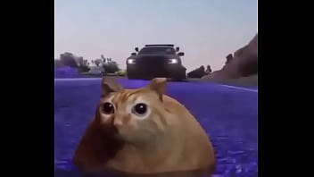 Branco escapando de quatro rapazes negros