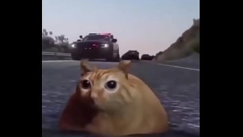 Branco escapando de quatro rapazes negros