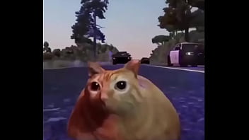 Branco escapando de quatro rapazes negros