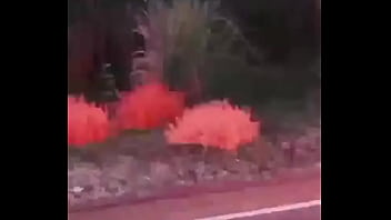 Branco escapando de quatro rapazes negros