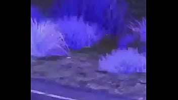 Branco escapando de quatro rapazes negros