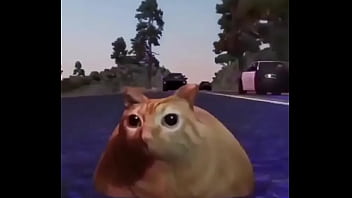 Branco escapando de quatro rapazes negros