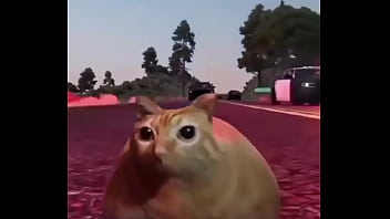 Branco escapando de quatro rapazes negros