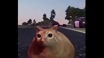 Branco escapando de quatro rapazes negros