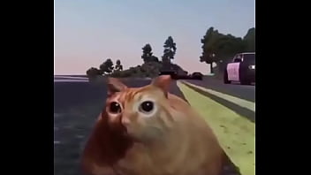 Branco escapando de quatro rapazes negros