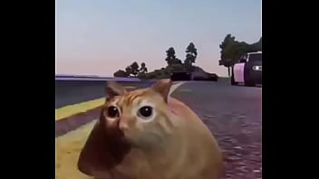 Branco escapando de quatro rapazes negros