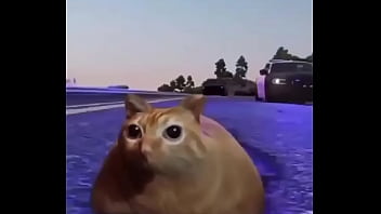 Branco escapando de quatro rapazes negros