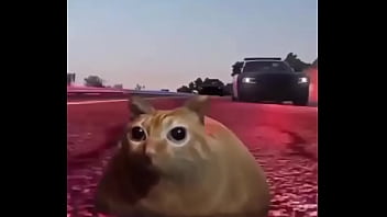 Branco escapando de quatro rapazes negros