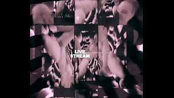 Loyalmoves production