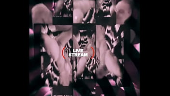 Loyalmoves production