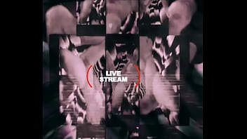 Loyalmoves production