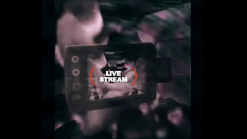 Loyalmoves production