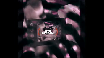 Loyalmoves production