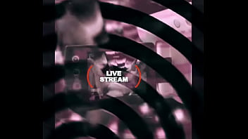 Loyalmoves production