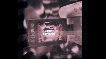 Loyalmoves production