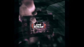 Loyalmoves production