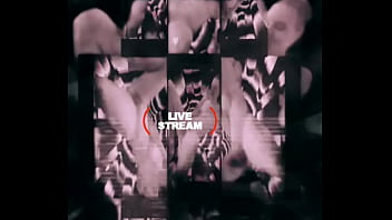 Loyalmoves production