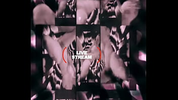 Loyalmoves production