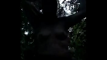 2025 06 25 esclave f s'humilie en foret