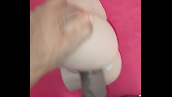 Meu novo brinquedinho