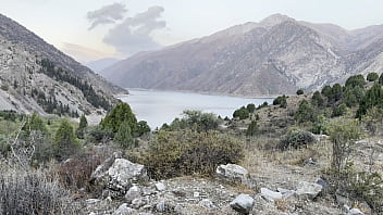 Public pissing compilation in nature a road trip pov free