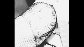 Kelly pantera update #18 feb 01 2025