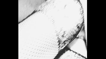 Kelly pantera update #18 feb 01 2025