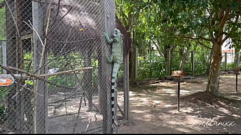 Guia turística leva viajante de férias pata conhecer o parque mas eles encontraram um bom lugar cum on ass and female orgasm