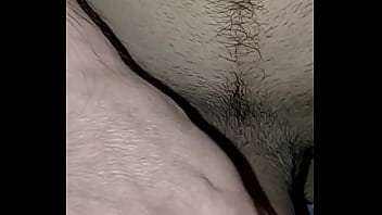 Pene y vagina frotando