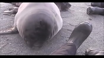 Видео для верификации