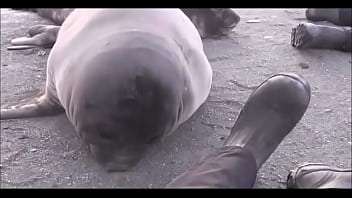 Видео для верификации