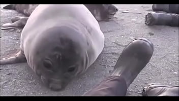 Видео для верификации