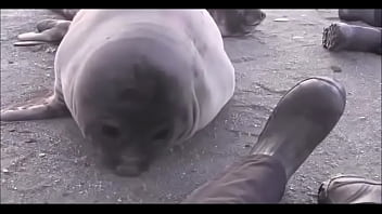 Видео для верификации