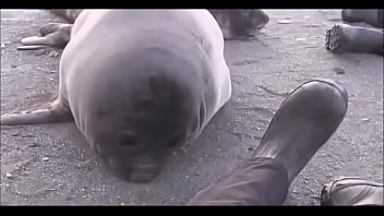 Видео для верификации