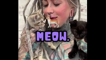 I love cats what's your favorite thing about cats #catlover #felinefriends #inkedandcuddly #tattoogirl #psyland