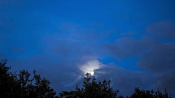 Our passion mark a short la petite mort orgasm nsfw