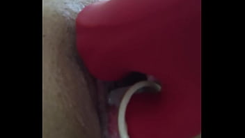 Amateur se masturba con su nuevo succionador y gime hasta correrse Amateur se masturba con su nuevo succionador y gime hasta correrse