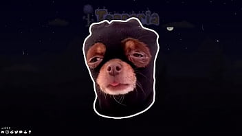 Como follar 2 ojos y fácil