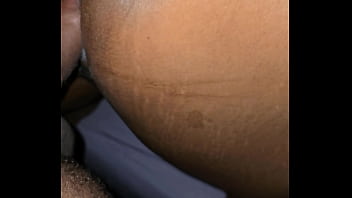 As galinhas acordando e o peru entrando