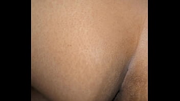 As galinhas acordando e o peru entrando