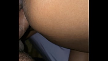 As galinhas acordando e o peru entrando