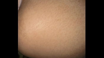 As galinhas acordando e o peru entrando