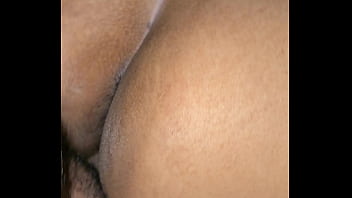 As galinhas acordando e o peru entrando