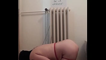 Esclave f dressée à la ceinture et à la pisse
