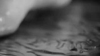 Update about why i am posting less but will post more i need to get a new home and time is running out⏳ i’m