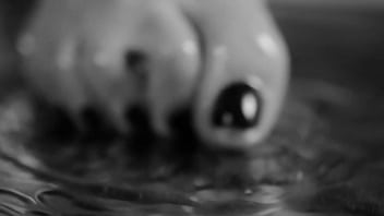 Update about why i am posting less but will post more i need to get a new home and time is running out⏳ i’m