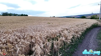 Blowjob in wheat field