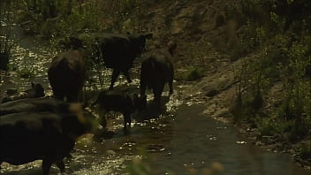 Natalia wood takes his dick out of his riding pants so she can ride it hard